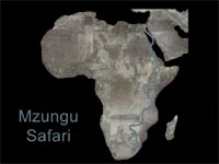 Mzungu Safari